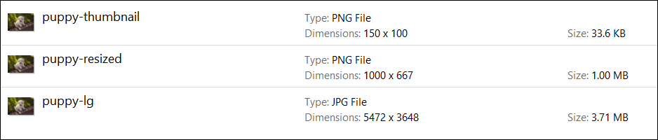 List of resized images showing dimensions and file sizes.