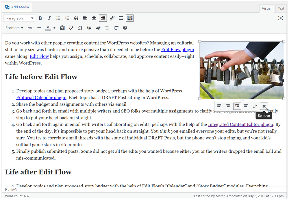 Screenshot of WordPress content editor with image about to be removed.