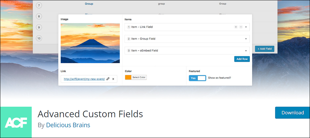 Advanced Custom Fields