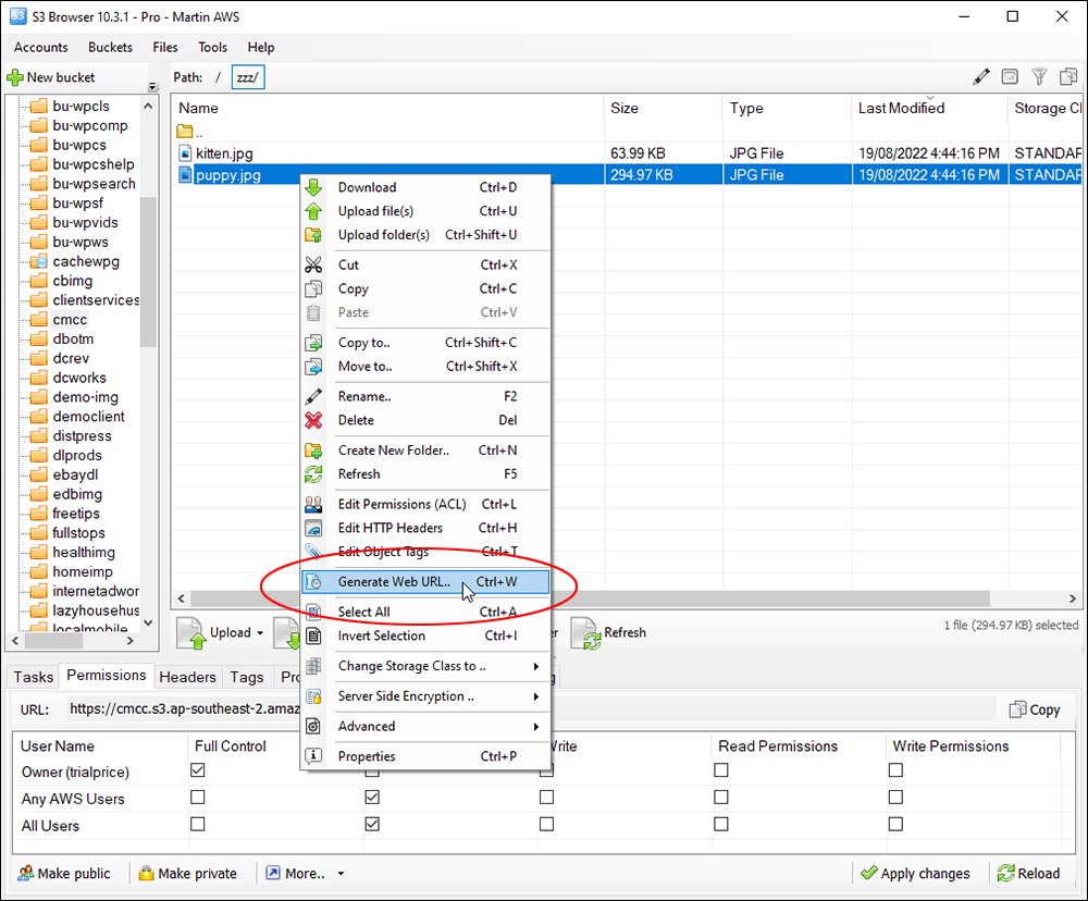 File Transfer Tools: Amazon S3 Browser - Generate Web URL