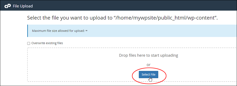 cPanel's File Manager: File Upload screen - Select File button