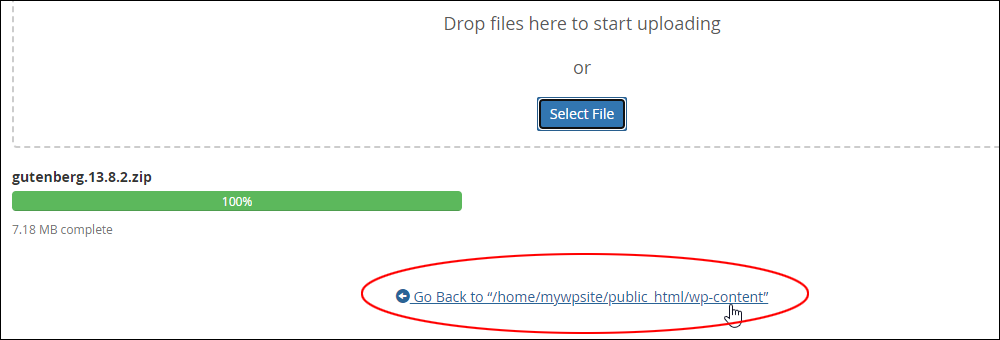 File Manager's upload screen with file uploaded.