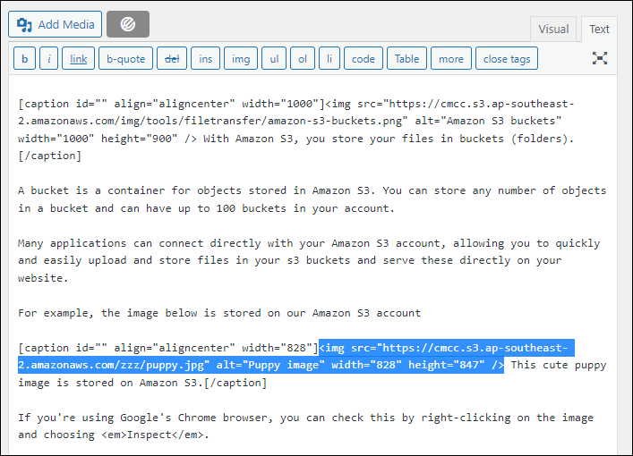 WordPress text tab showing Amazon S3 image URL pasted into content.