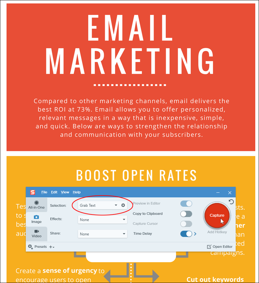 Snagit - Grab Text feature.